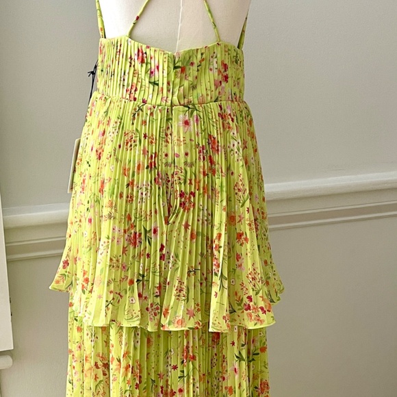 Amur's NWT Nico floral pleated tiered midi dress - Picture 7 of 11